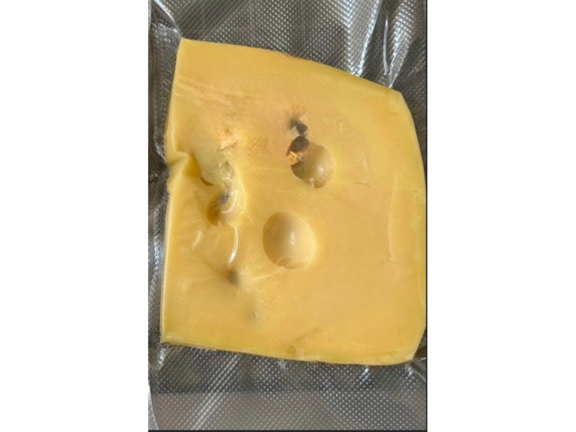 QUESO FONTINA EN TROZO