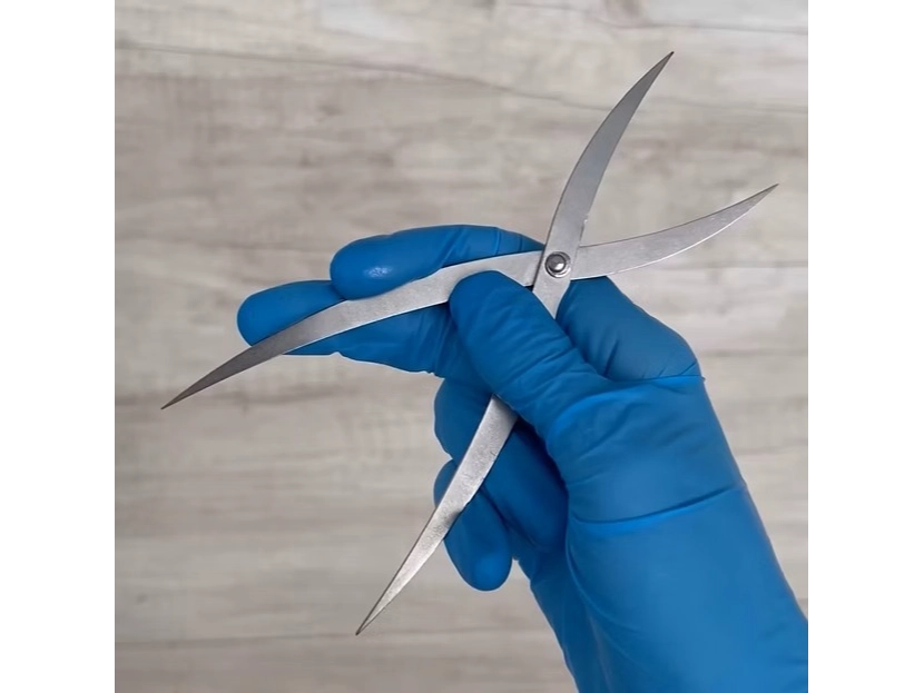 Pinza Áurea