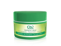 Cb2 Balsamo labial 10 g