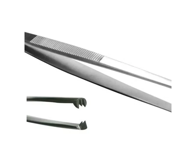 Pinza Disección con diente ratón 15cm