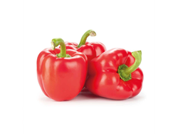 PIMIENTO ROJO UNIDAD