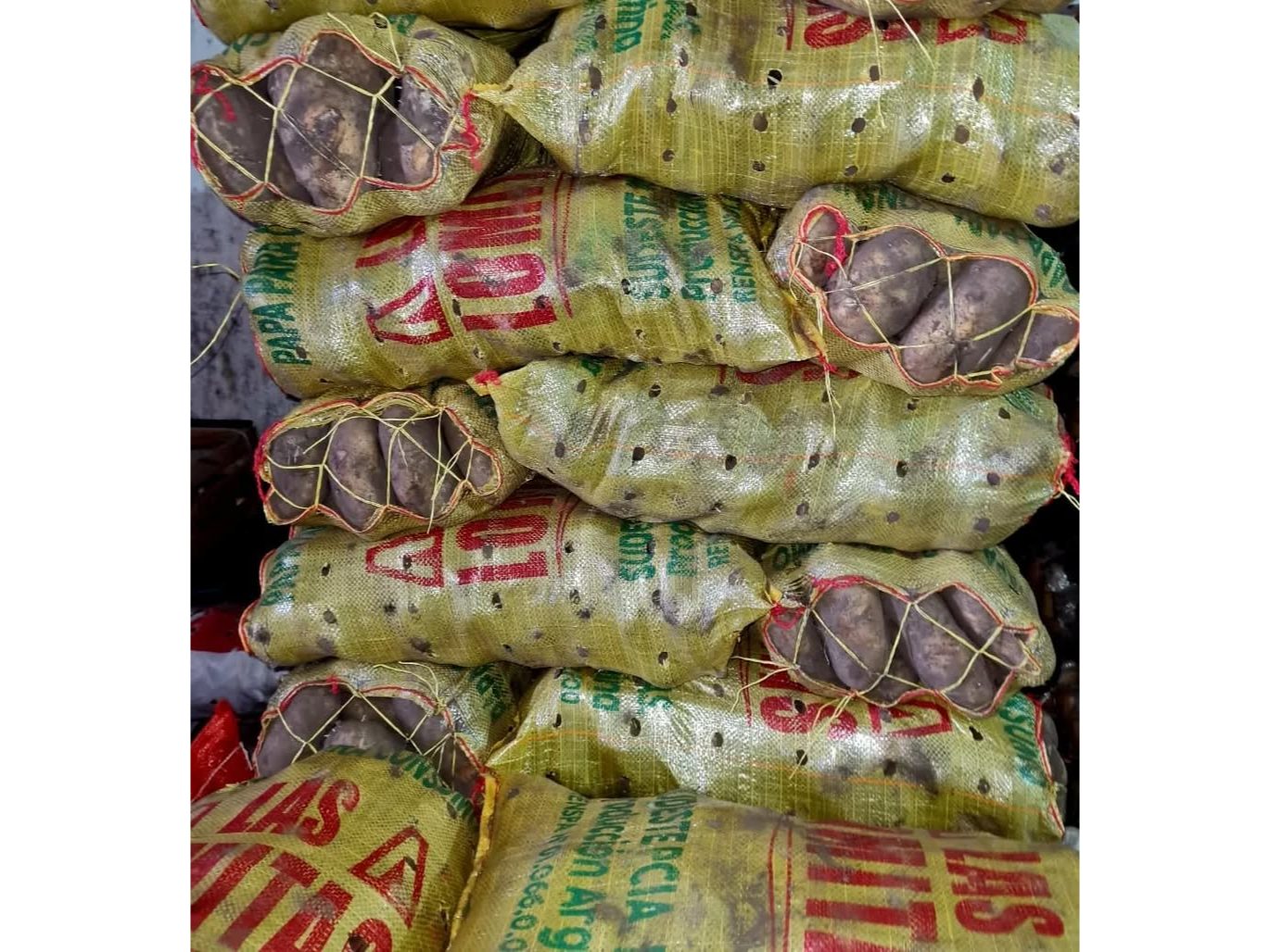 BOLSA PAPA 17 KG APROX