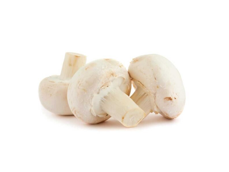 BANDEJA CHAMPIGNON X 180grs