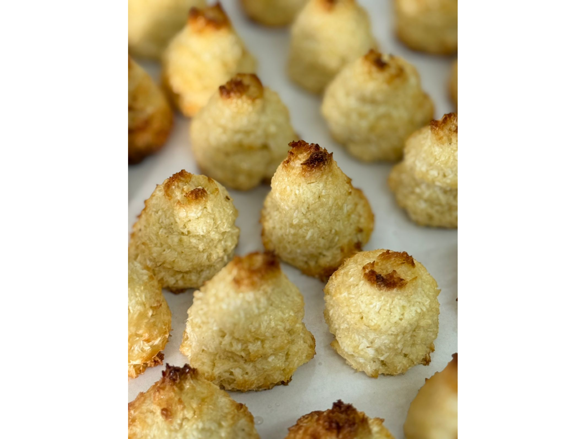 Coquitos (36 Unidades)