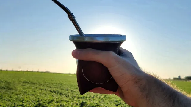 YERBA Y ENDULZANTES