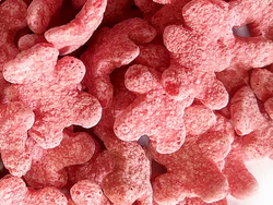 Ositos de frutilla