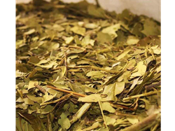 Yerba canchada
