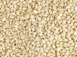 Semilla de sésamo blanco