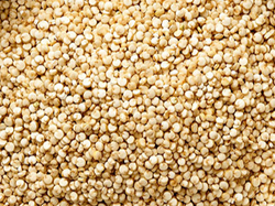 Semilla de quinoa nacional