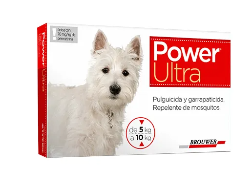 Pipetas Power (5 a 10 KG)