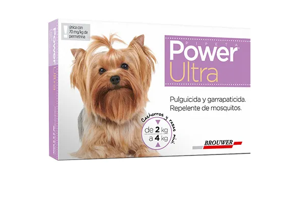 Pipetas Power (2 a 4 KG) para cachorros y razas toy