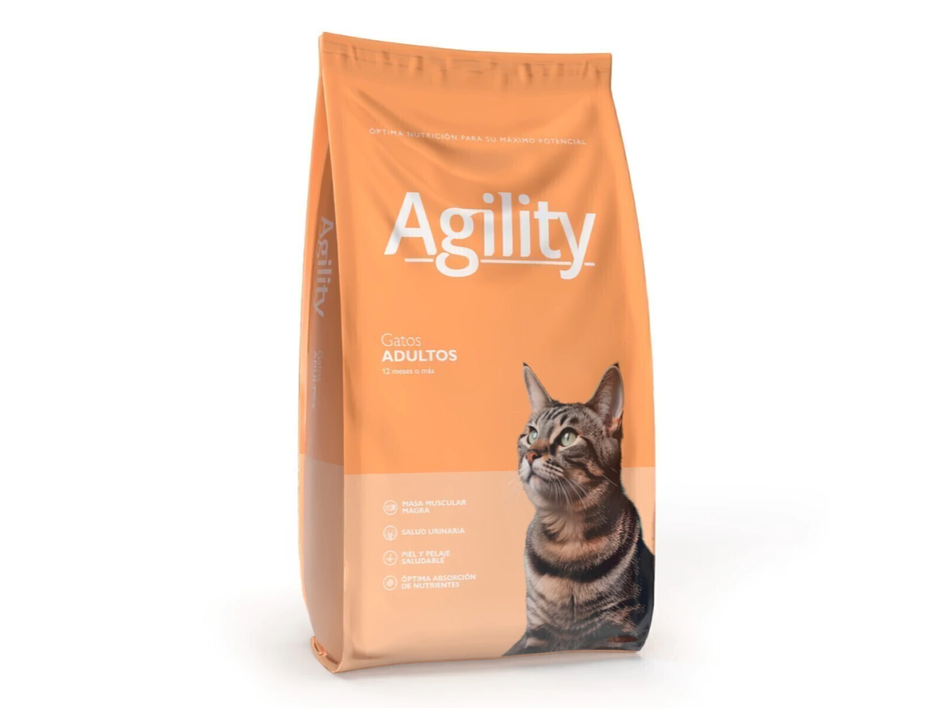 Agility gato x 10 KG
