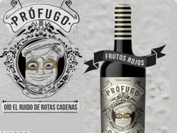 Profugo