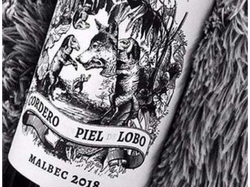 Cordero con Piel de Lobo