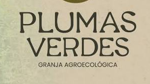 HUEVOS PLUMAS VERDES
