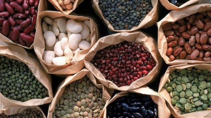 ALIMENTOS RED ORGANICOS SI O SI