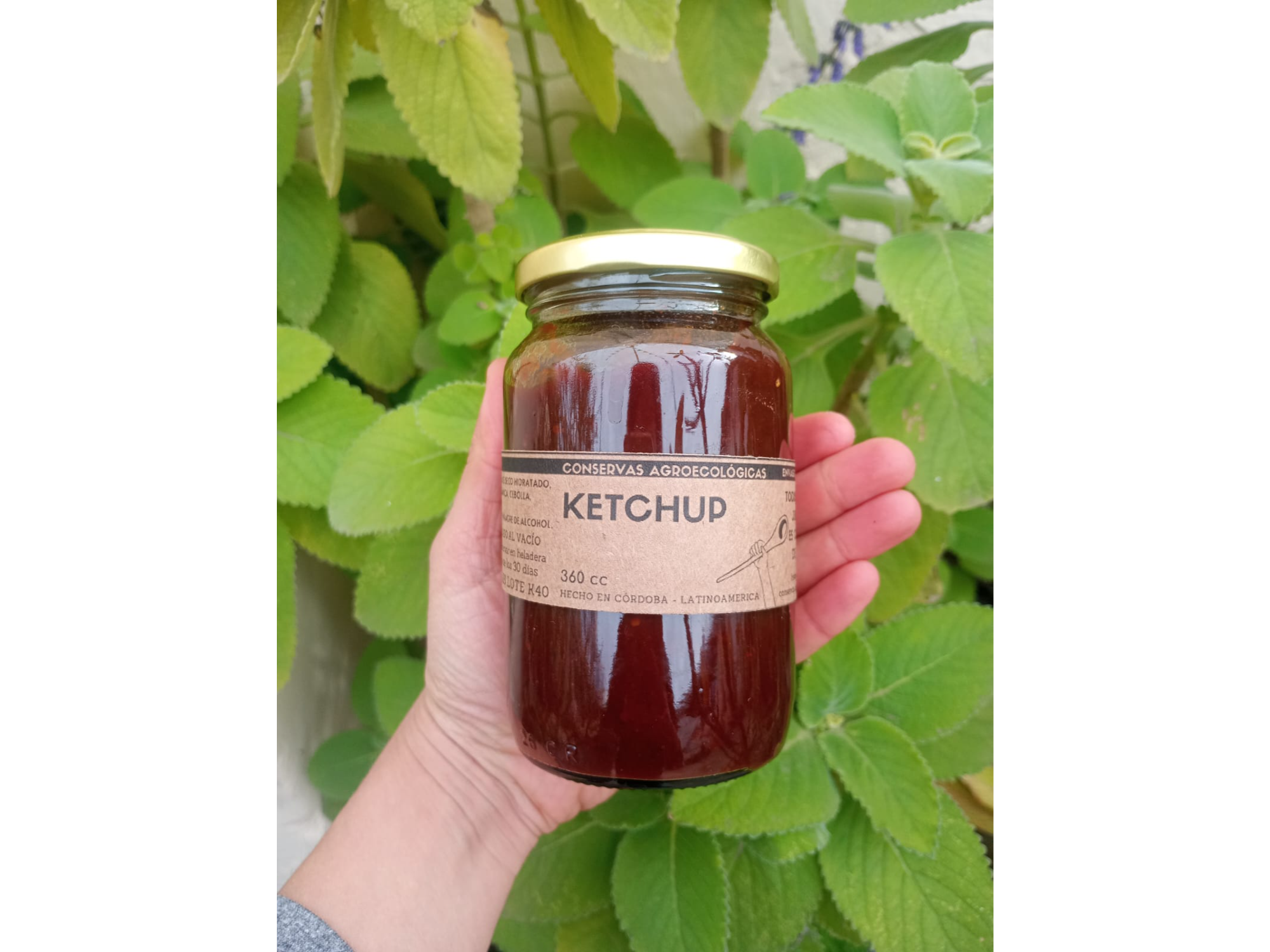 Ketchup 360cc