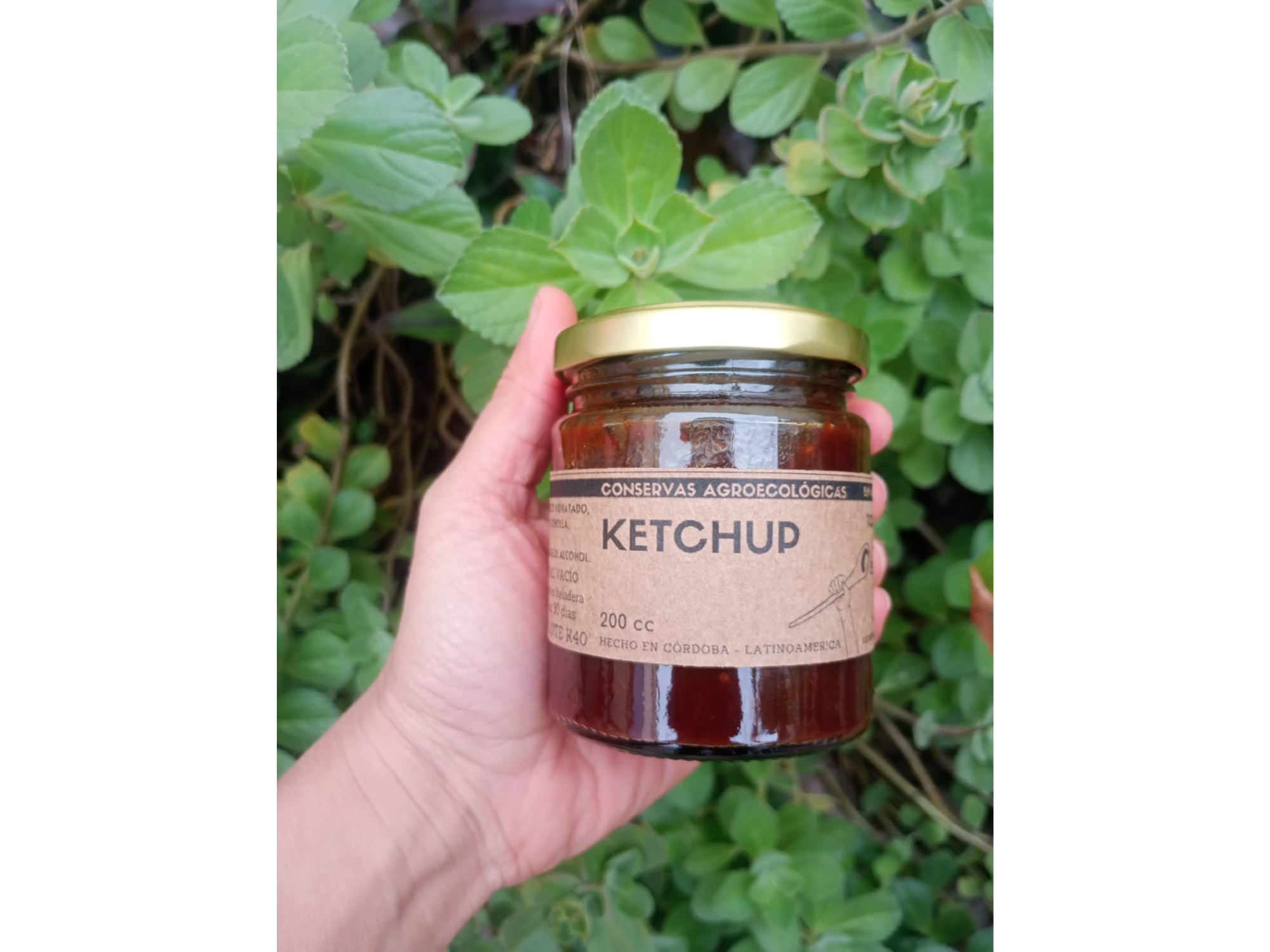 Ketchup 200cc