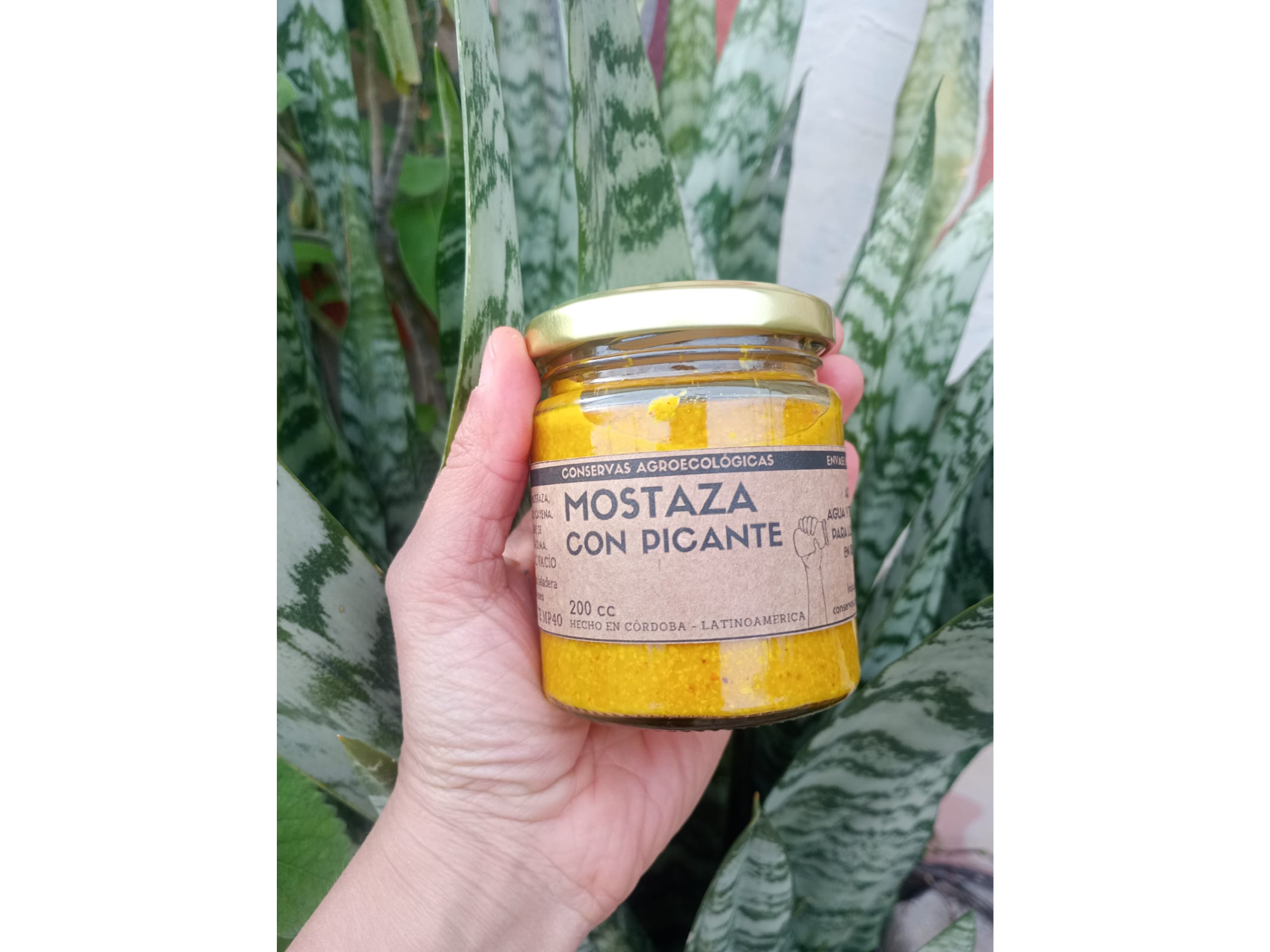 Mostaza picante 200cc