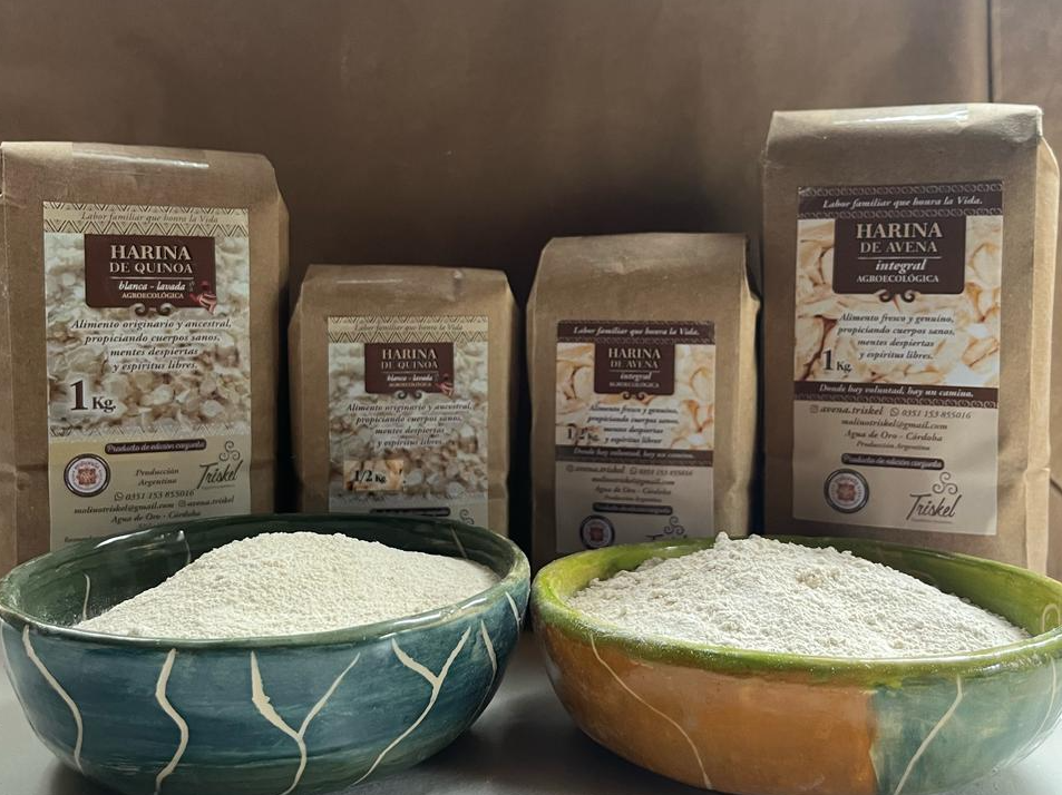 Harina de avena