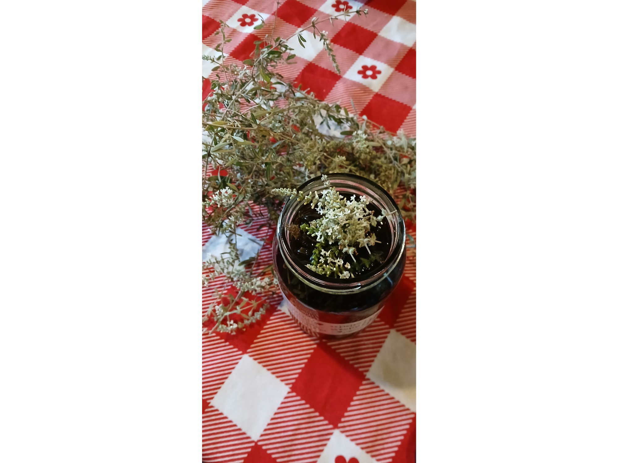 Palo amarillo