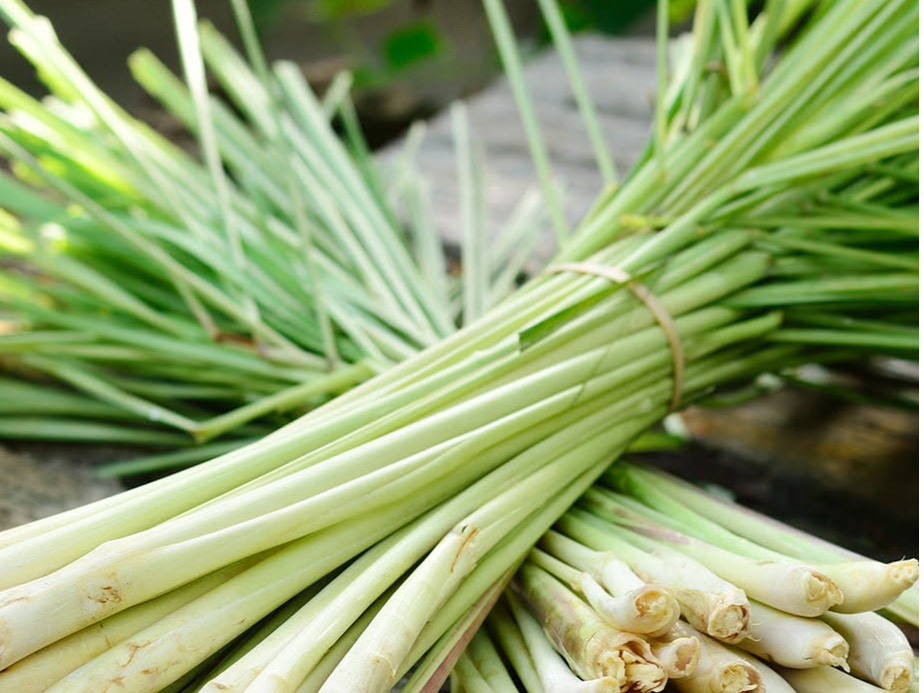Lemon grass