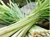 Lemon grass