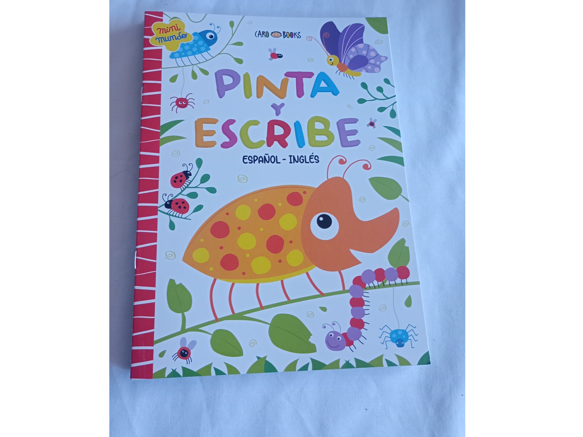 Pinta y escribe el ESPAÑOL - INGLES