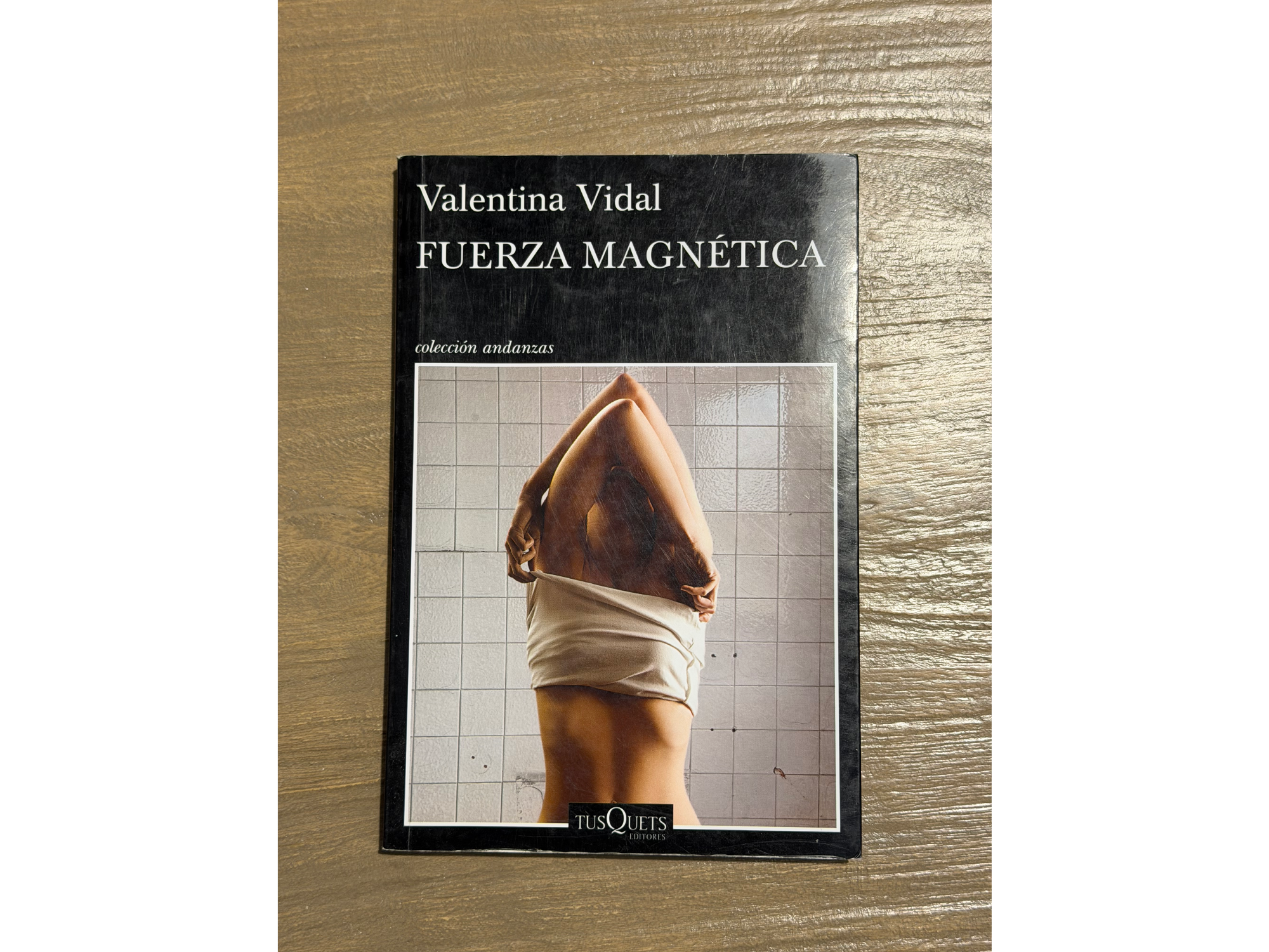 Fuerza magnética - Valentina Vidal
