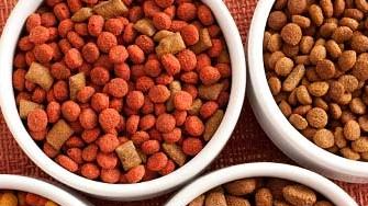 ALIMENTO BALANCEADO PARA PERROS