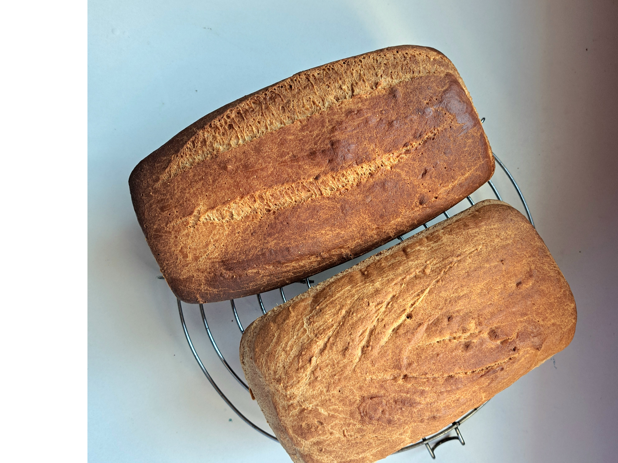 Pan de Trigo Sarraceno de Arzule Almacen - Natural