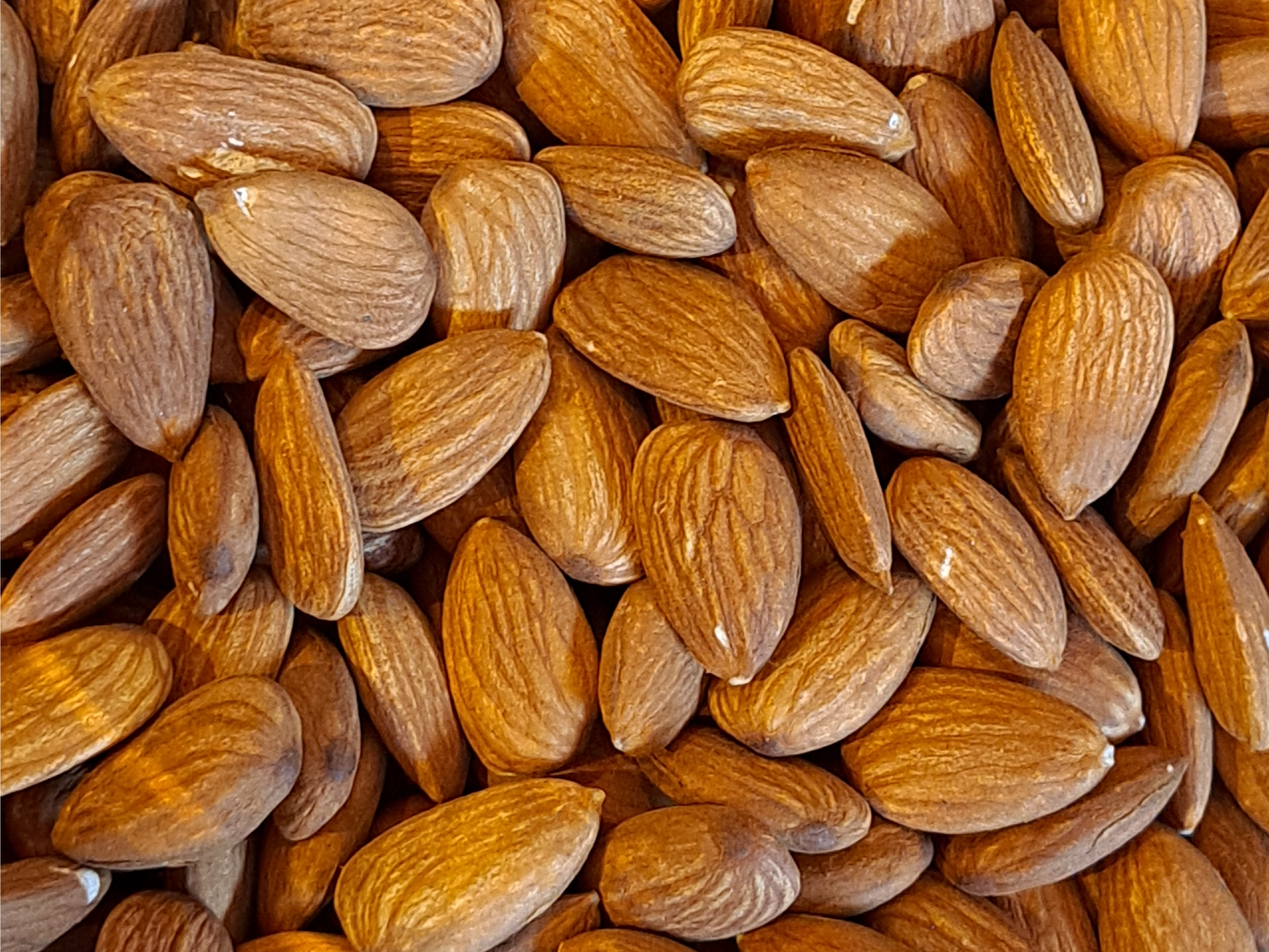 ALMENDRAS NON PAREIL ENTERAS