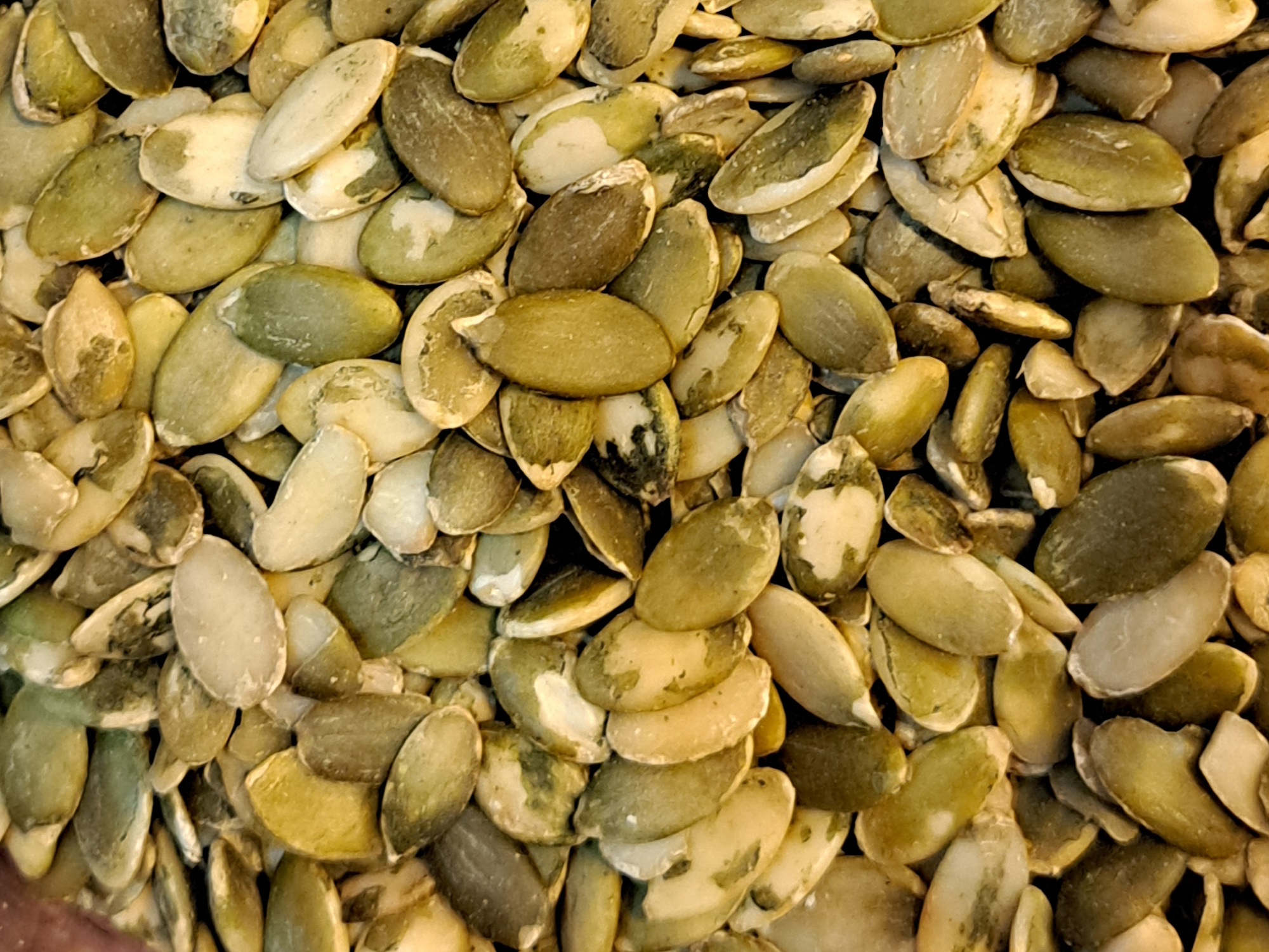 SEMILLAS DE ZAPALLO