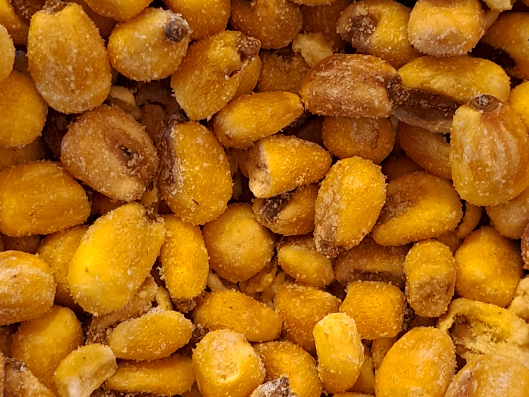 MAIZ FRITO SALADO