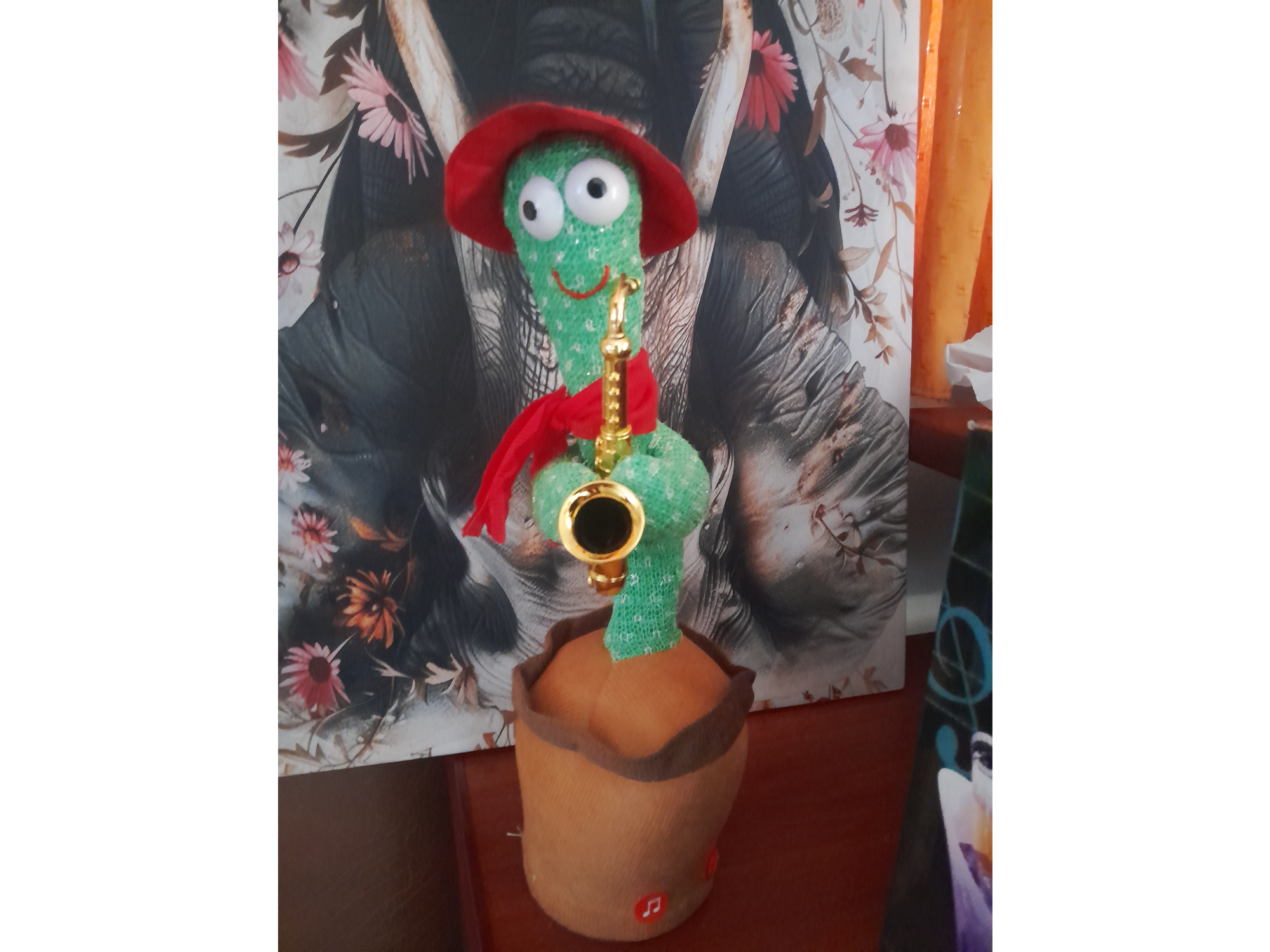 CACTUS BAILARIN - TROMPETA Y SOMBRERO .