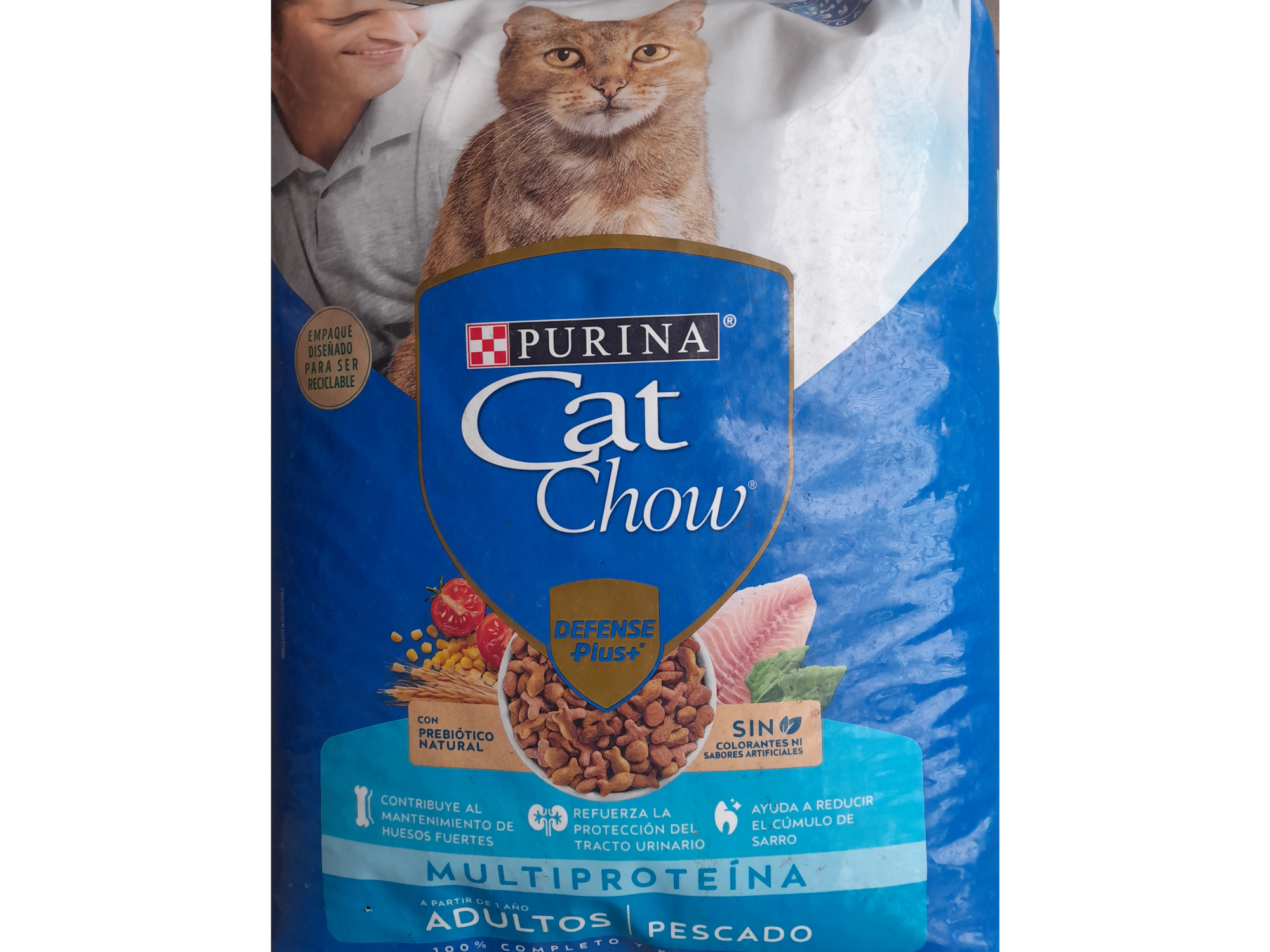 CAT CHOW PESCADO X 1 KG .