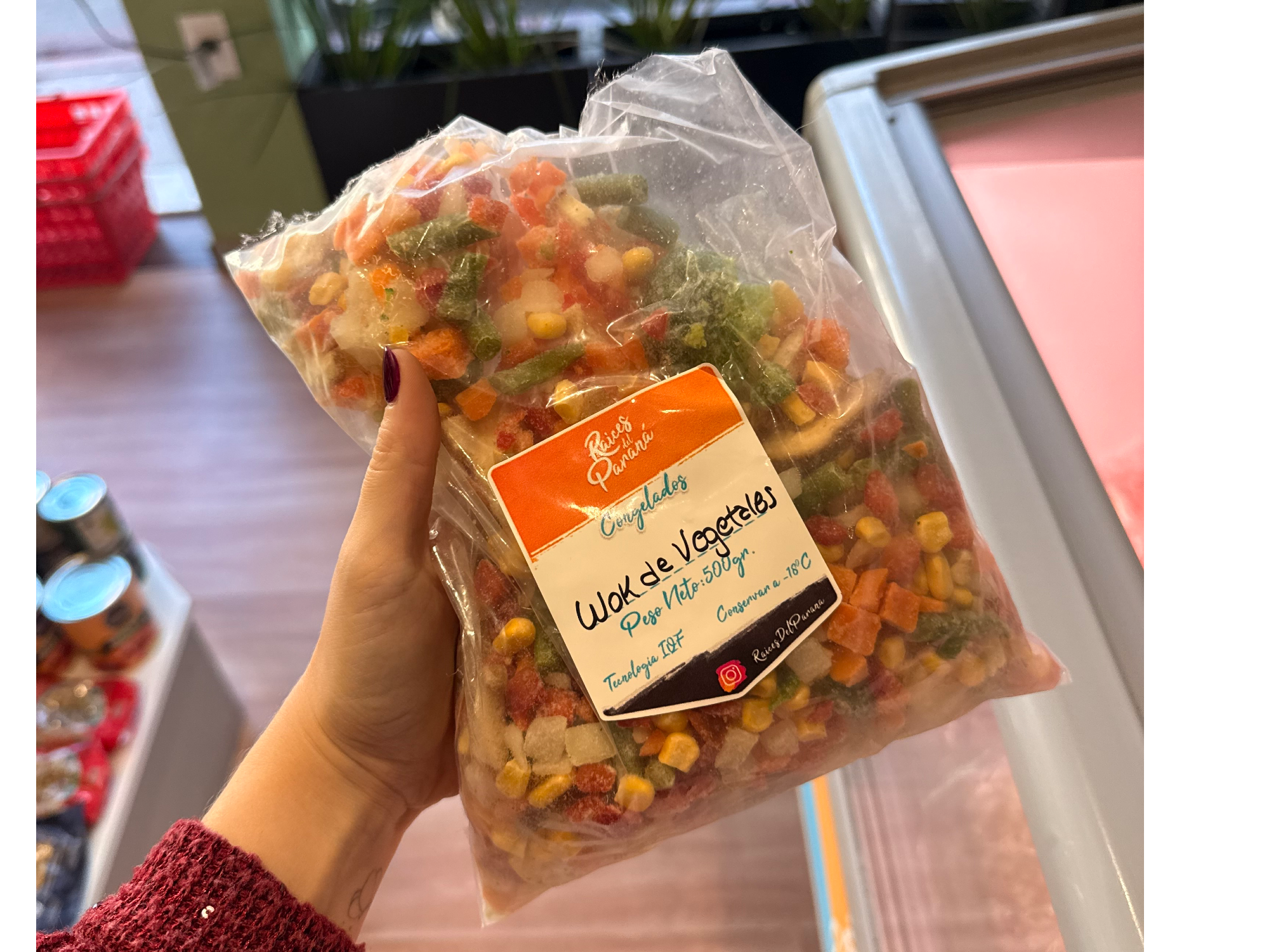 Wok de Verduras x 500 Grs