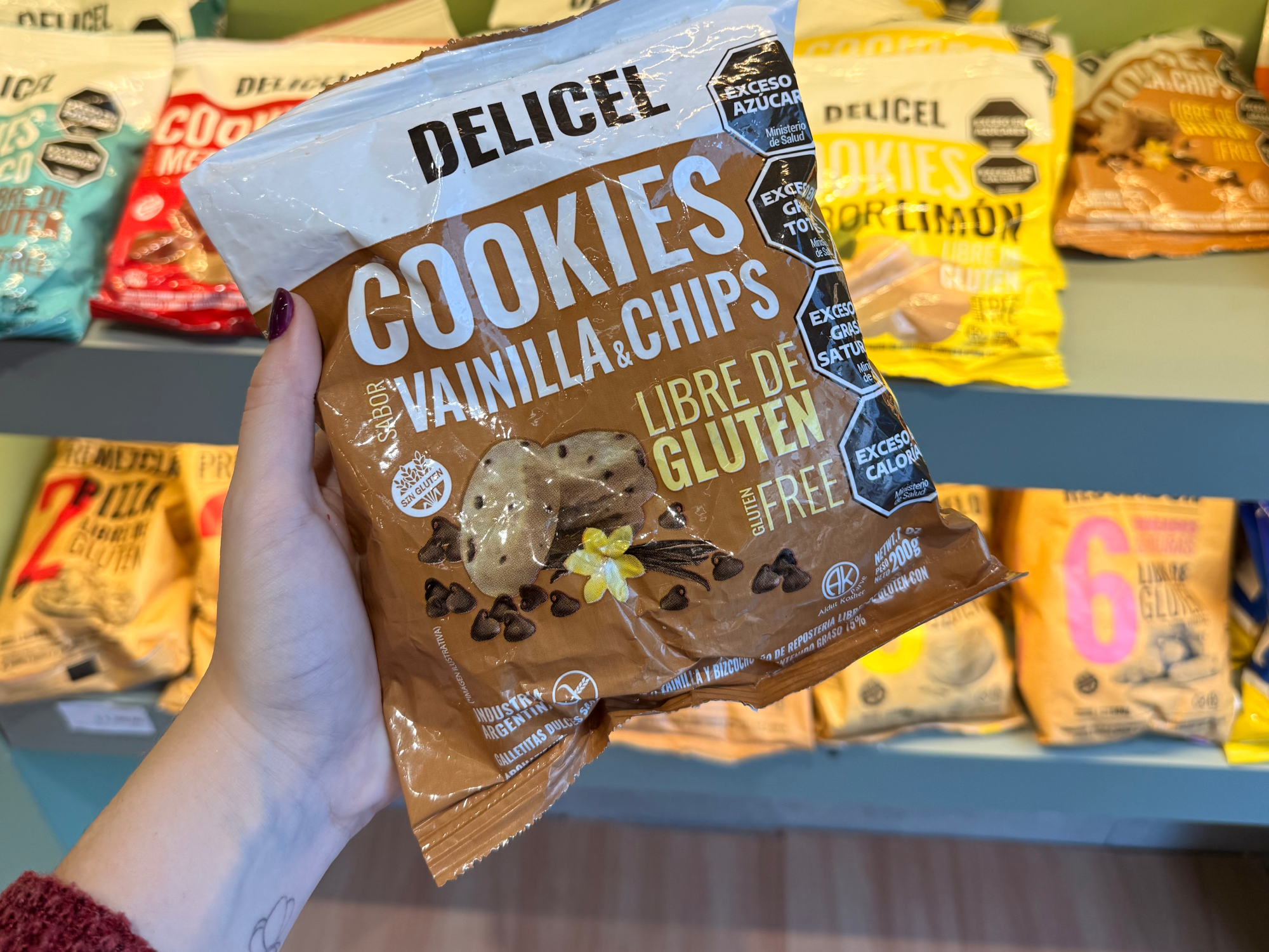 Galletitas de Vainilla y Chips de Chocolate x 200 grs