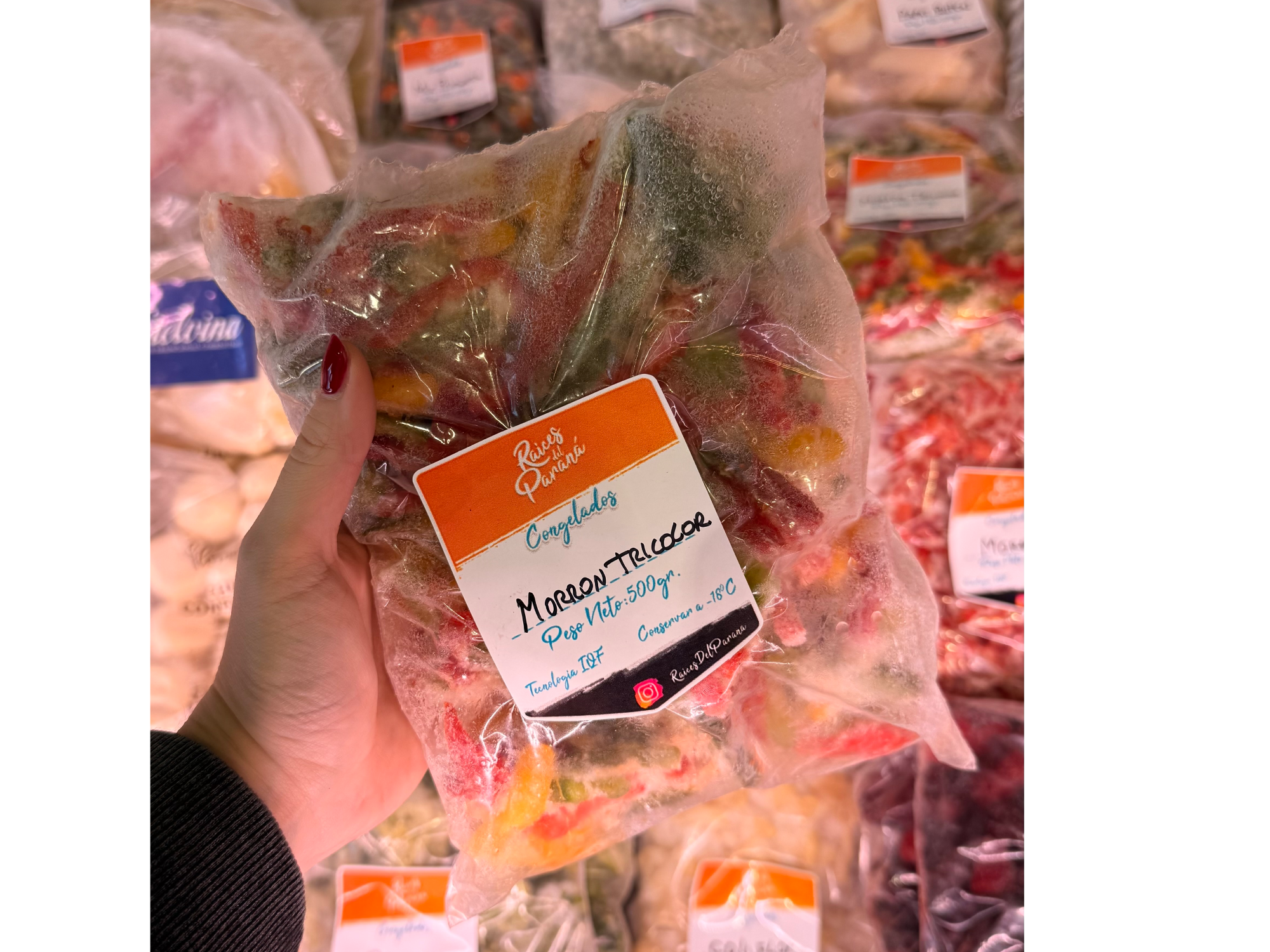 Morron Tricolor x 500 Grs