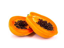Papaya x unidad