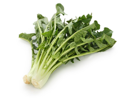 Achicoria Paquete x Un.