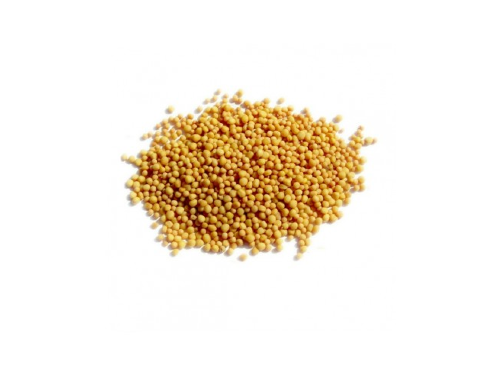 Mostaza amarilla x 100gr