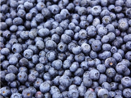 Arandanos IQF X 500grs. Easy Frut