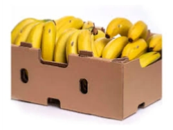 Caja de Banana Boliviana