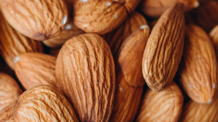 FRUTOS SECOS Y DISECADOS