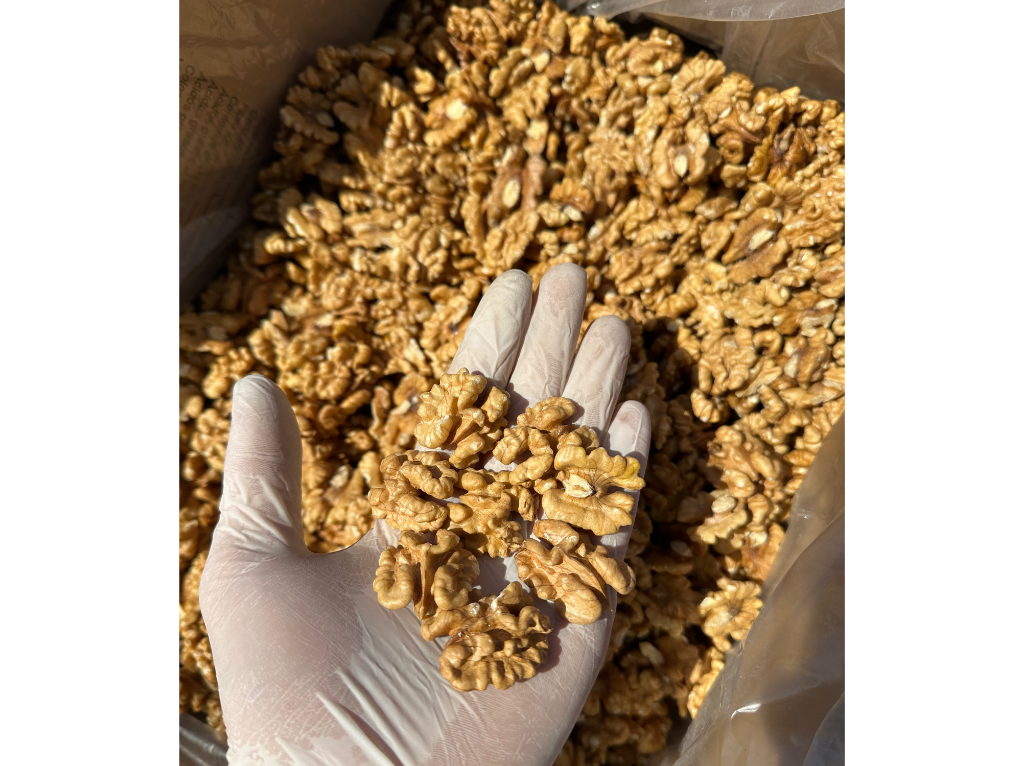 Nuez Mariposa Extra Ligth COSECHA 2025