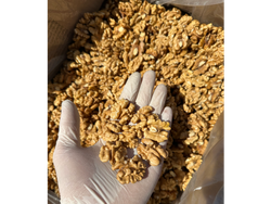 Nuez Mariposa Extra Ligth COSECHA 2025