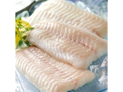 Filet de Merluza Desdinada corte V x10kg
