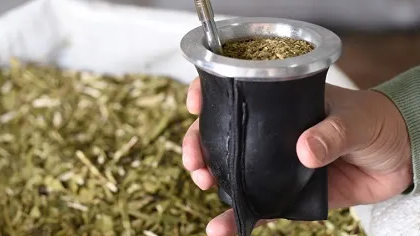 YERBA ORGÁNICA