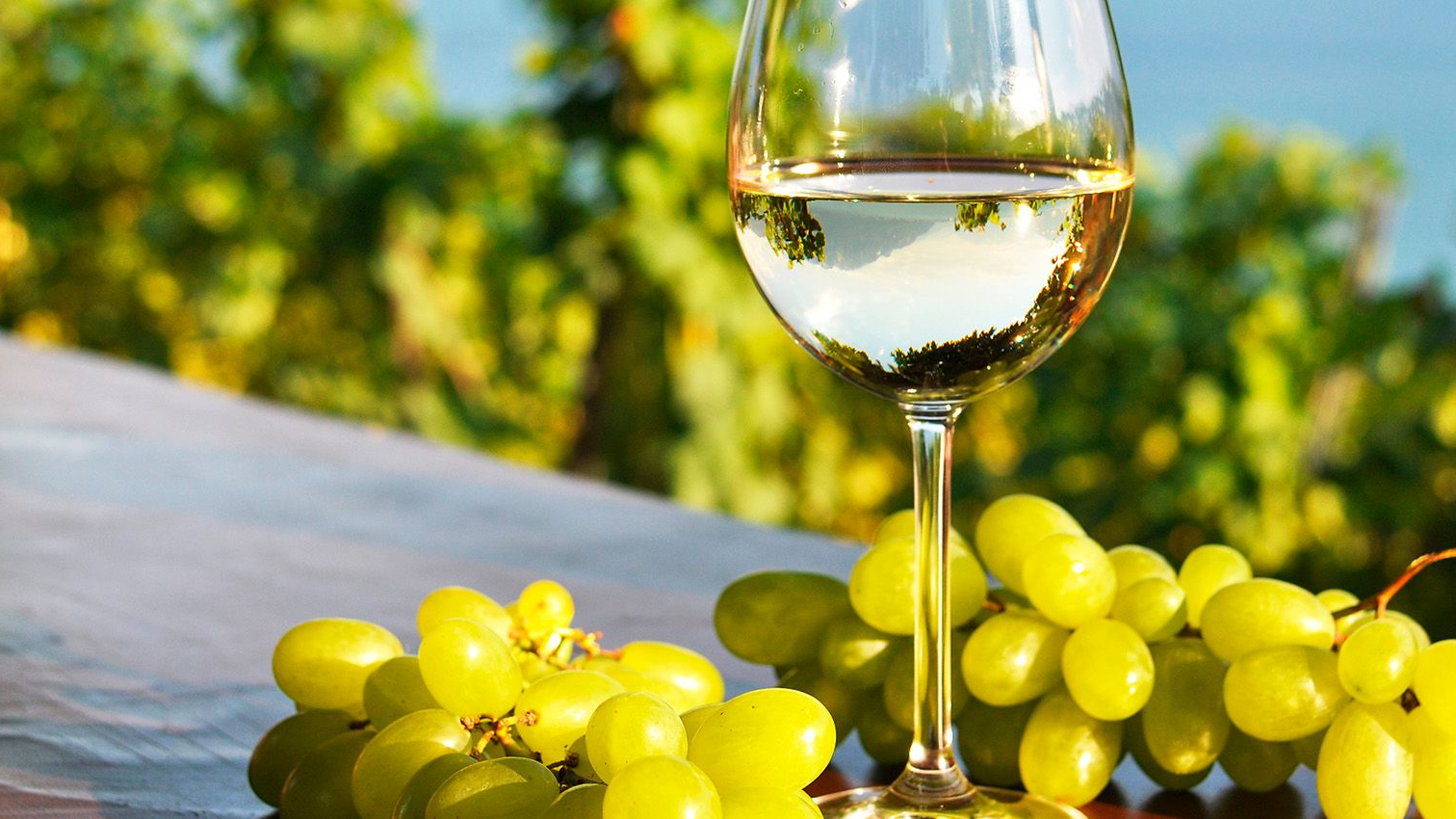 VINOS BLANCOS